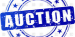 Children's Auction & Movies @ the UUCPA Annual Auction