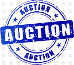 Children's Auction & Movies @ the UUCPA Annual Auction