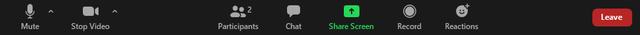 Screen shot of Zoom app controls showing, from left to right: Mute, Stop Video, Participants, Chat, Share Screen, Record, Reactions, and Leave.