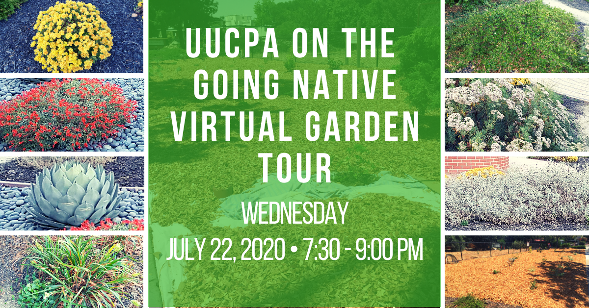 UUCPA Garden on Virtual Tour