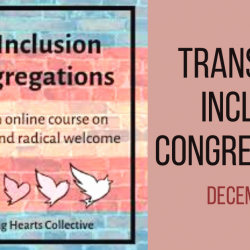 Transgender Inclusion in Congregations