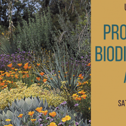 Protecting Biodiversity at Home