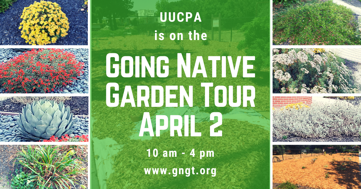 UUCPA on the Going Native Garden Tour
