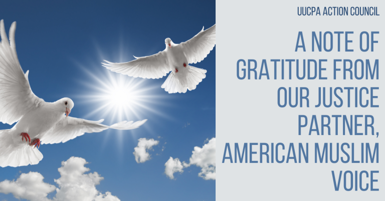 A Note of Gratitude from our Justice Partner, American Muslim Voice