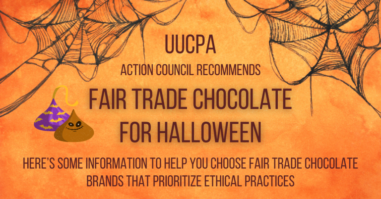 Buy Fair Trade Chocolate for Halloween
