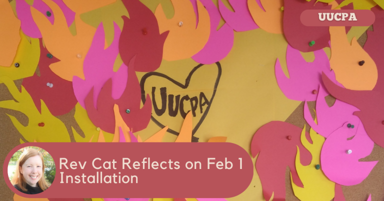 Rev Cat's Reflection on Feb 1 Installation