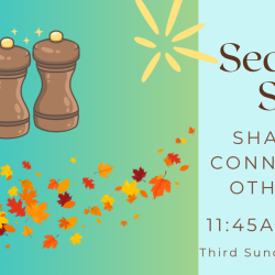 Seasoned Souls - Group for Older Adults