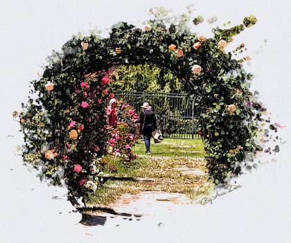 Rose arch